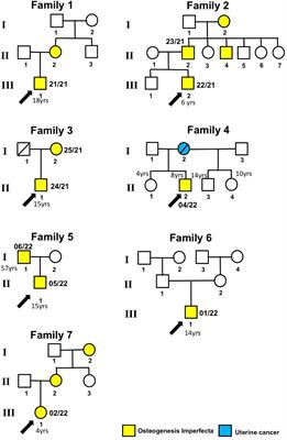 Expanding the genetic and clinical spectrum of osteogenesis imperfecta: identification of novel rare pathogenic variants in type I collagen-encoding genes